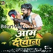 Aam Ke Diwana (Vijay Chauhan, Shilpi Raj)