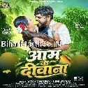 Aam Ke Diwana (Vijay Chauhan, Shilpi Raj)