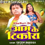 Aam Ke Tikora (Guddu Rangeela)