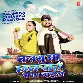 Ham Ta Rok Nahi Pauni Balamuva Chhakka Maar Gail.mp3