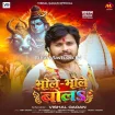 Bhole Bhole Bola (Vishal Gagan)