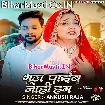 Bhul Paib Nahi Hum (Ankush Raja)