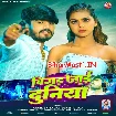 Bigad Jaai Duniya (Aashish Yadav, Shilpi Raj)