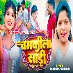 Chamkila Sari (Karishma Kakkar)