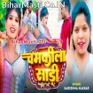 Chamkila Sari (Karishma Kakkar)