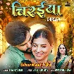 Chiraiya (Priyanka Singh)