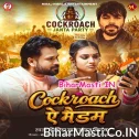 Cockroach Ae Madam (Niraj Nirala)