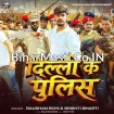 Delhi Ke Police (Raushan Rohi, Srishti Bharti)