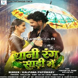 Dhani Rang Saari Me