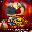Dhanush Se Dar Lagata (Bullet Raja, Neha Raj)