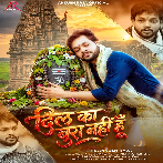 Dil Ka Bura Nahi Hu (Ankush Raja)