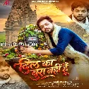 Dil Ka Bura Nahi Hu (Ankush Raja)