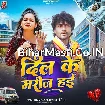 Dil Ke Marij Hai (Radheshyam Rasiya)