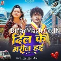 Dil Ke Marij Hai (Radheshyam Rasiya)
