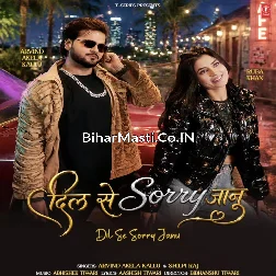 Dil Se Sorry Ba Jaanu Hamaar