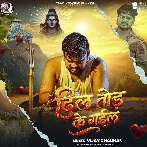 Dil Tod Ke Gail (Vijay Chauhan) 