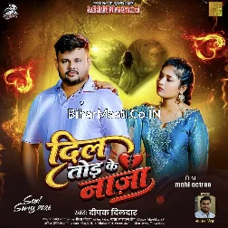 Dil Tod Ke Na Ja Ho