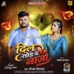 Dil Tod Ke Na Ja (Deepak Dildar)