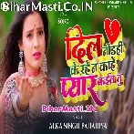 Dil Todahi Ke Rahe Ta Kahe Pyar Kaila Tu (Alka Singh Pahadiya)