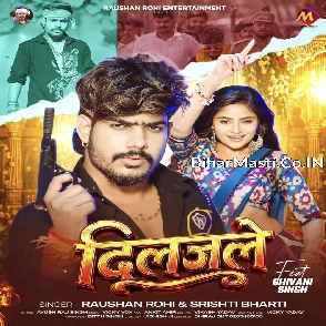 Diljale (Raushan Rohi, Srishti Bharti)