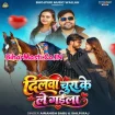 Dilwa chura ke le gayila (Awanish Babu, Shilpi Raj)