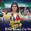 Dilwa Dusra Se (Khushi Kakkar)