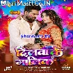 Dilwa Ke Malik (Ritesh Pandey, Shilpi Ra)