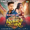 Dilwa Ke Nas (Awdhesh Premi Yadav, Shilpi Raj)