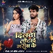 Dilwa Lauta De Garib Ke (Aashish Yadav)