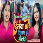 Dilwa Tor Chhinar Ho Gelau (Anjali Bharti)