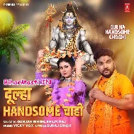 Dulha Handsome Chahi (Hit Matter)