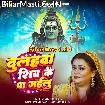 Dulhawa Shiv Ke Pa Gailu (Anu Dubey)