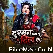 Dushman Bada Tu Dil Ke (Nisha Upadhyay) 
