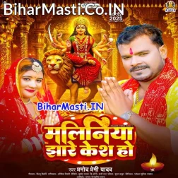 Aail Maliniya Jhare Kesh Ho (Hit Matter)