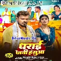 Ae Hamar Raja Hasua Dharawa Jani