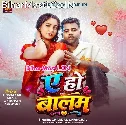 Ae Ho Balam Ghuta Ta Dam Aise Na Korwa Me Hamke Jati