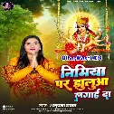 Ae Ho Piya Nimiya Par Jhulua Lagai Da