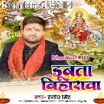 Ae Maai Ho Dubata Biharwa Nu Ho.mp3