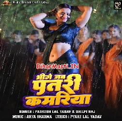Ae Raja Bhije Jab Patari Kamariya Ta Sariya Sarak Jala Ho
