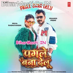 Ae Rani Ho Tu Pagle Bana Delu (Hit Matter)