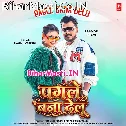 Ae Rani Ho Tu Pagle Bana Delu (Hit Matter)