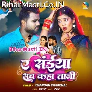 Ae Saiya Sach Kahatani Hum Ki Nanadi Gandi Hai