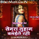 Ae Saiya Tohara Bina Kaise Karab Teej Ke Baratiya Ho
