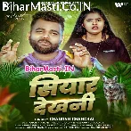 Banswari Me Sakhi Re Siyar Dekhani.mp3