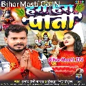 Belwa Ke Hara Hara Pata Ae Jaan Ho Dupatta Me Laiha