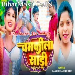 Chamkila Wali Lele Aiha Sari Raja Ji  .mp3