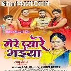 Chhoti Chhoti Bahno Ke Pyare Bhaiya Lakho Me Ek Hai Hamare Bhaiya.mp3