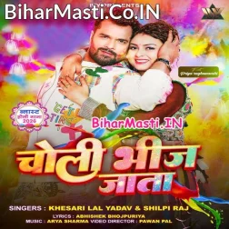 Choli Bhij Jata Raja Ji Pasina Me Lahanga Las Las Kare Fagun Ke Mahina Me