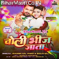 Choli Bhij Jata Raja Ji Pasina Me Lahanga Las Las Kare Fagun Ke Mahina Me