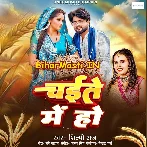 Choli Ke Khajanwa Bhije Chaite Me Ho.mp3